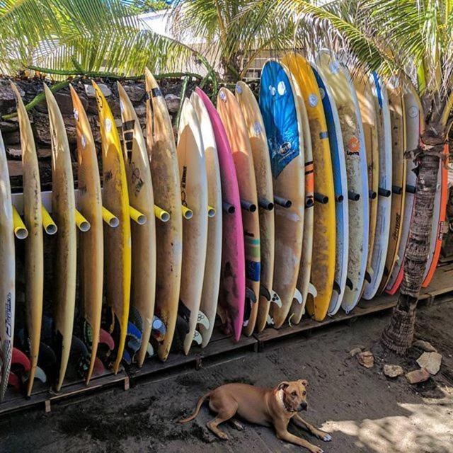 Free Spirit Hostel Transito 外观 照片