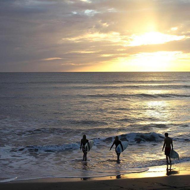 Free Spirit Hostel Transito 外观 照片