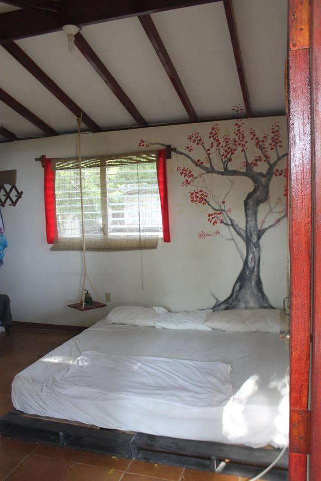Free Spirit Hostel Transito 外观 照片